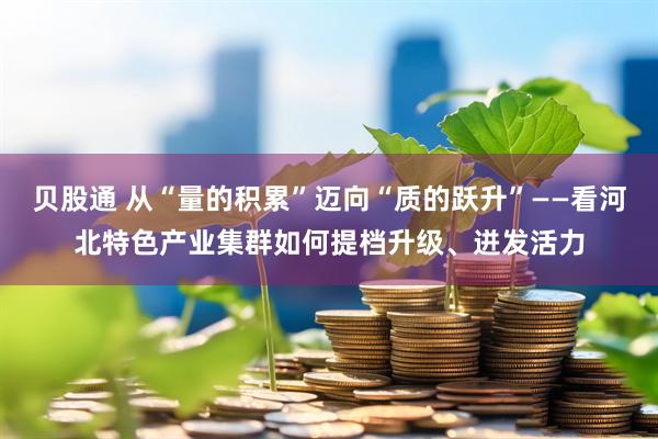 贝股通 从“量的积累”迈向“质的跃升”——看河北特色产业集群如何提档升级、迸发活力