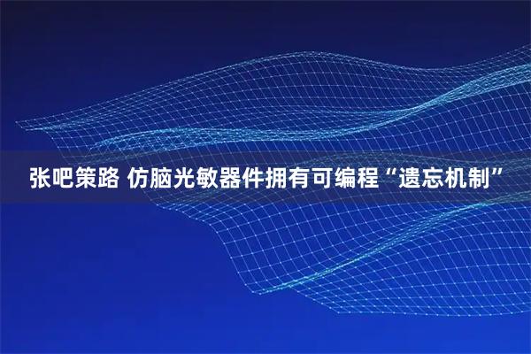 张吧策路 仿脑光敏器件拥有可编程“遗忘机制”